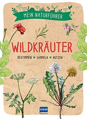 Alle Details zum Kinderbuch Naturführer - Wildkräuter: Bestimmen · sammeln · nutzen und ähnlichen Büchern