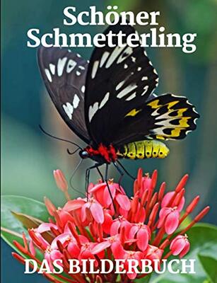 Alle Details zum Kinderbuch Schöner Schmetterling: Bilderbuch der Schmetterlinge für Senioren mit Demenz Geschenke für Menschen mit Demenz Demenz Aktivitäten für Senioren und ähnlichen Büchern