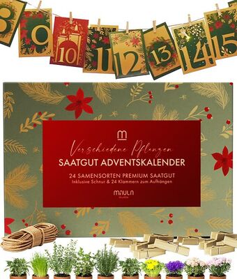 Seed Advent Calendar 2025 - Advent Calendar with 24 Seeds - Herbs, Fruit, Vegetables & Flowers Advent Calendar 2024 Seeds - Advent Calendar 2025 Women - Advent Calendar 2025 Mum bei Amazon bestellen