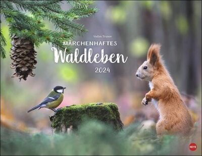 Trunov Märchenhaftes Waldleben Posterkalender. Naturkalender 2024 gestaltet mit Bildern des Naturfotografen Vadim Trunov. Fotokalender 2024 im Querformat. 44 x 34 cm. bei Amazon bestellen