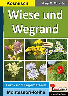 Alle Details zum Kinderbuch Wiese und Wegrand: 48-teiliger Lesestern (Montessori-Reihe: Lern- und Legematerial) und ähnlichen Büchern