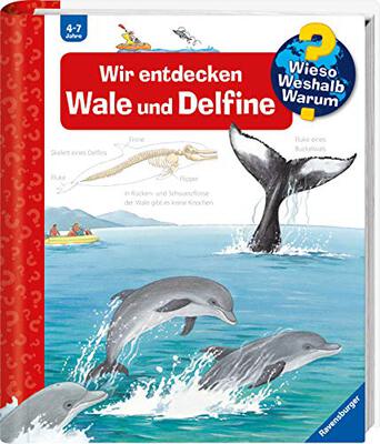 Alle Details zum Kinderbuch Wieso? Weshalb? Warum?, Band 41: Wir entdecken Wale und Delfine (Wieso? Weshalb? Warum?, 41) und ähnlichen Büchern