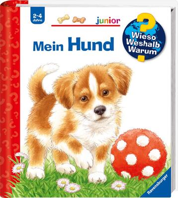 Alle Details zum Kinderbuch Wieso? Weshalb? Warum? junior, Band 41: Mein Hund (Wieso? Weshalb? Warum? junior, 41) und ähnlichen Büchern