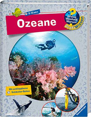 Alle Details zum Kinderbuch Wieso? Weshalb? Warum? ProfiWissen, Band 19: Ozeane: Mit ausklappbaren Entdecker-Seiten (Wieso? Weshalb? Warum? ProfiWissen, 19) und ähnlichen Büchern