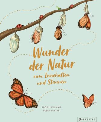 Alle Details zum Kinderbuch Wunder der Natur zum Innehalten und Staunen: 50 kleine Geschichten über alltägliche Naturereignisse und ähnlichen Büchern