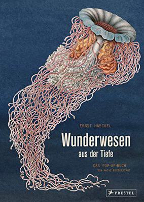 Alle Details zum Kinderbuch Wunderwesen aus der Tiefe. Ernst Haeckel: Das Pop-up-Buch und ähnlichen Büchern